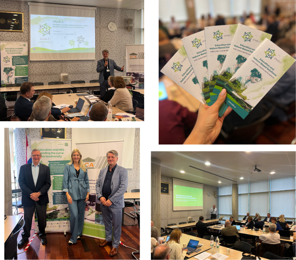 Collage of photos taken during the 14th ICA Rectors and Deans Forum. 