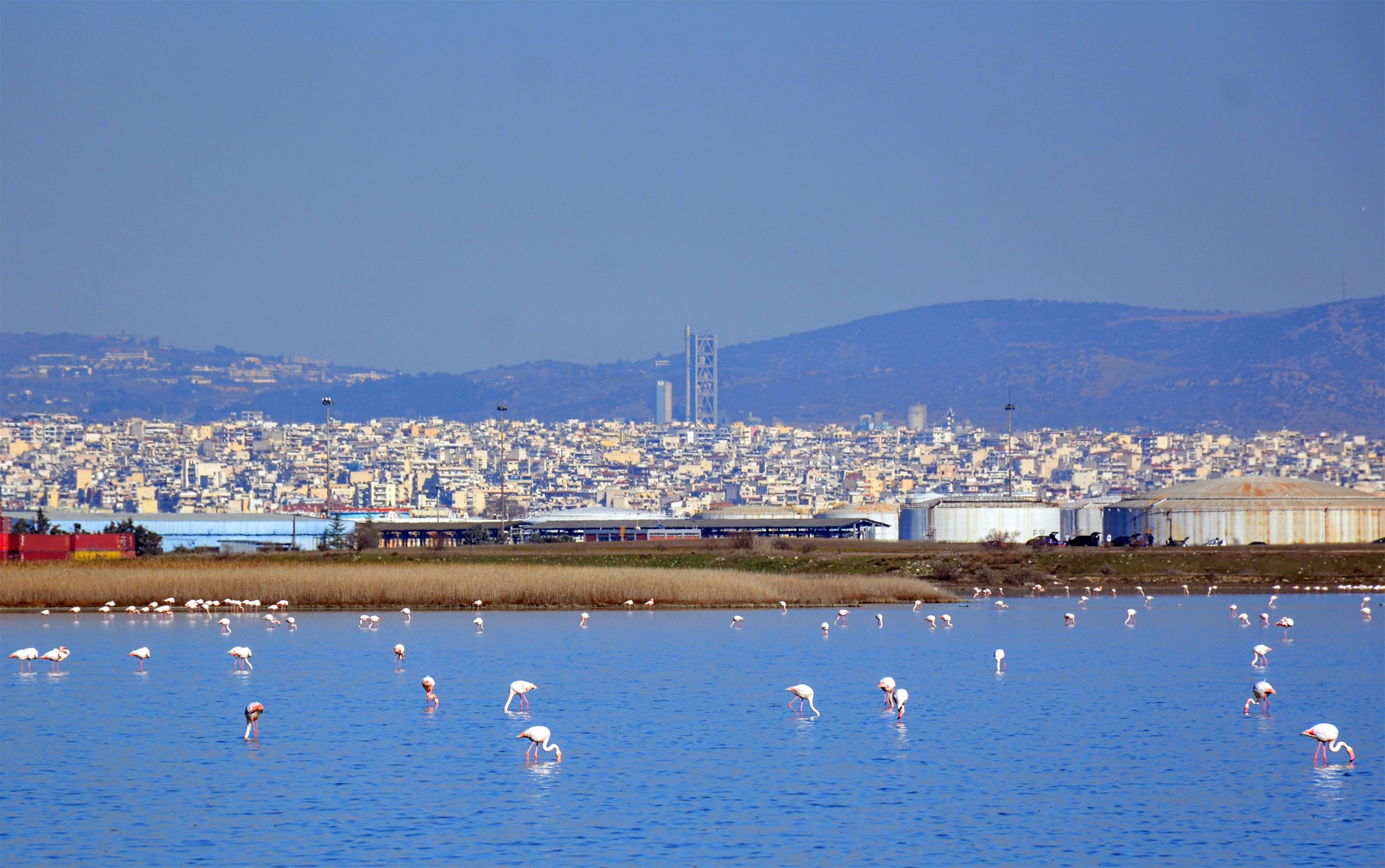 Thessaloniki's coastal area