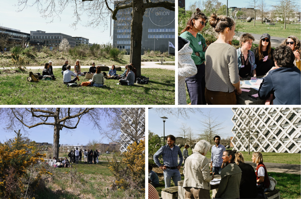 More Nature Deeper Education Photo Collage