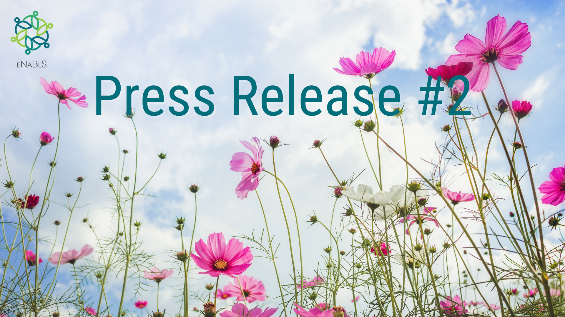 2nd Press Release banner