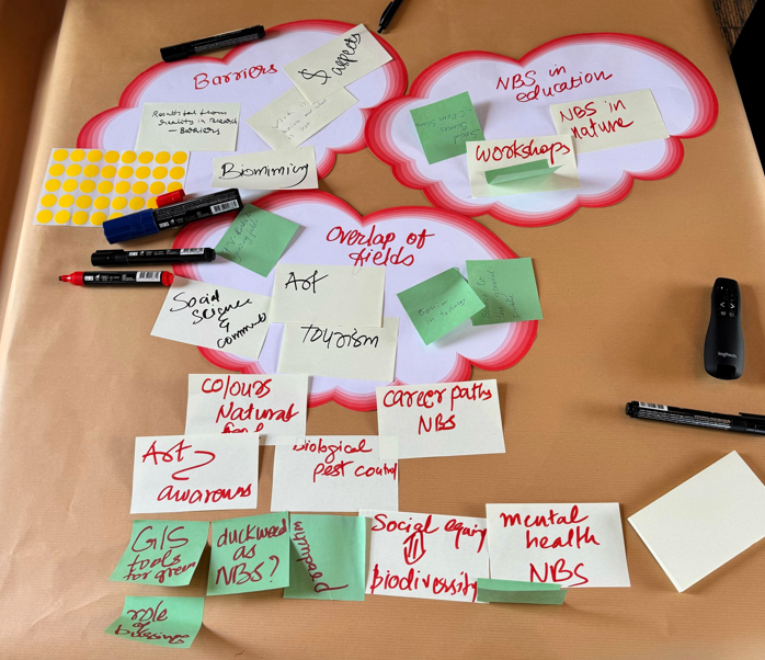 Collective Reflection