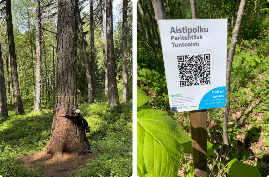 Excursion to the Punkaharju Arboretum photos