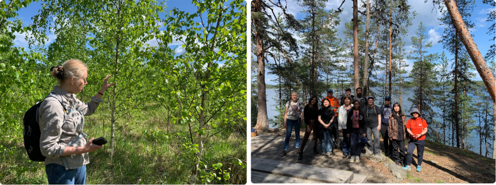 Excursion to the Punkaharju Arboretum photos