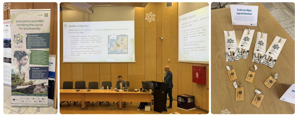 Photos from the Integrating AI & Architecture in Nature-Based Solutions Seminar