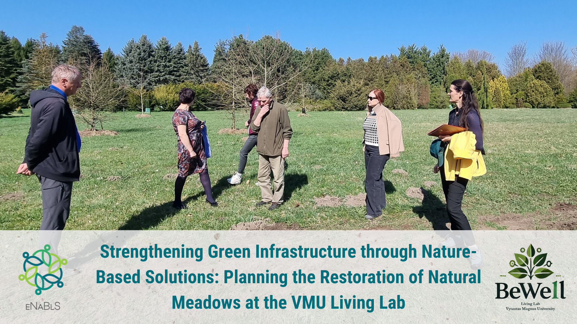 Lithuanian Living Lab: expert consultation