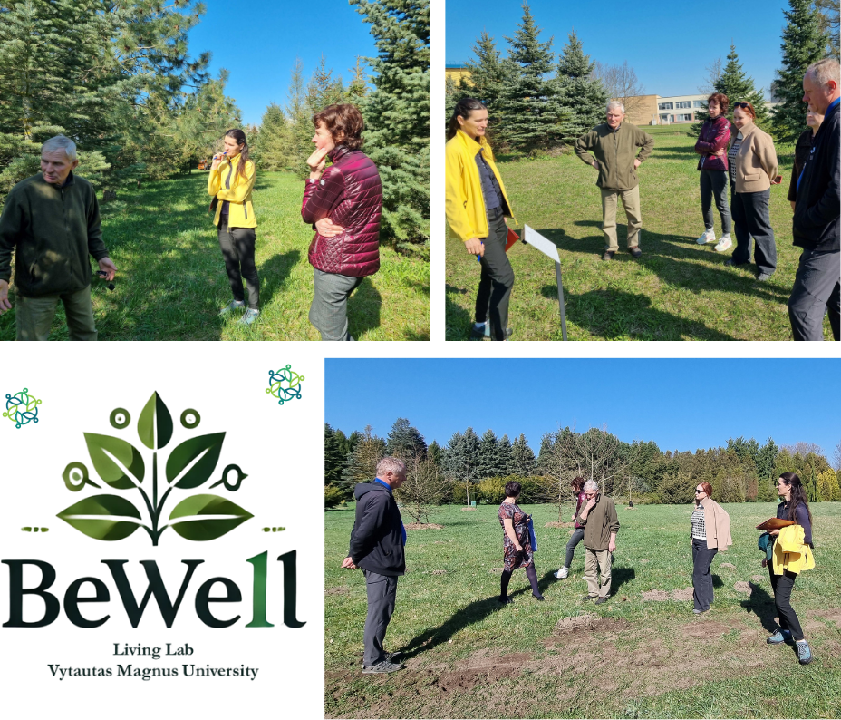 Lithuanian Living Lab: Photos from the expert consultation