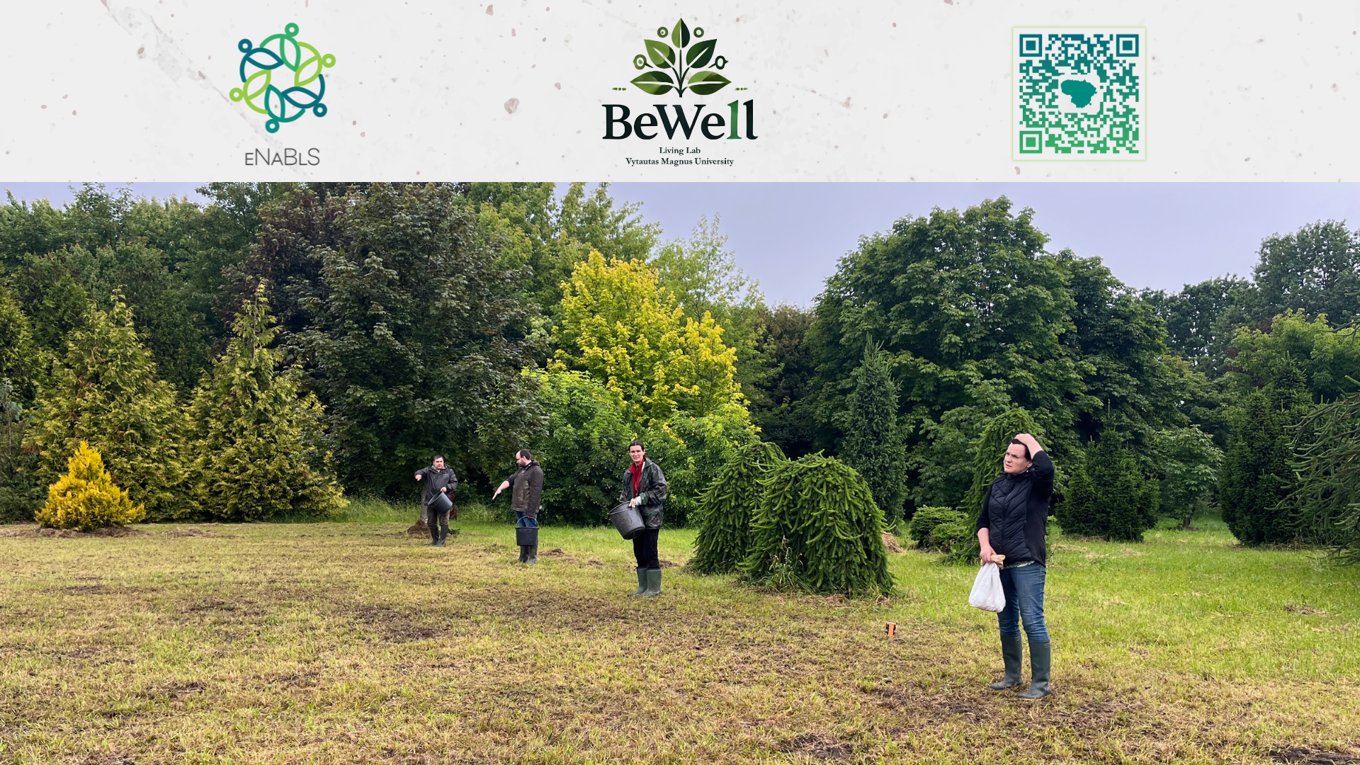 Restoring Natural Meadows at VMU Arboretum