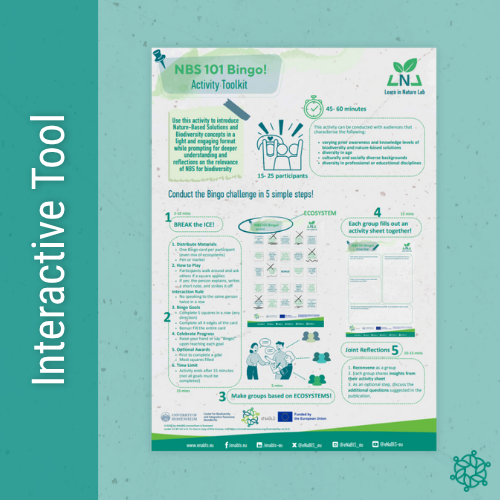 Bingo activity image