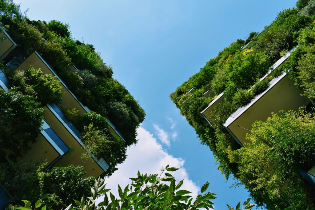 image of green buildings