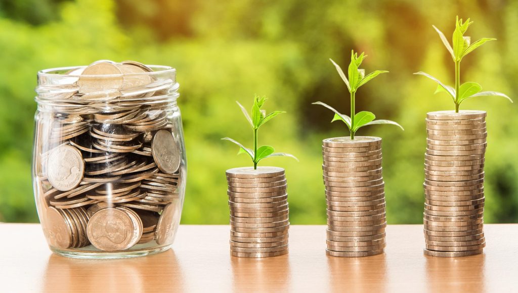 image displaying coins and leaves
