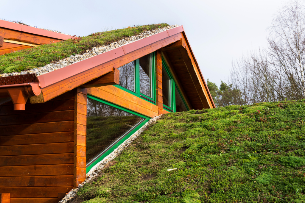Image of a green roof