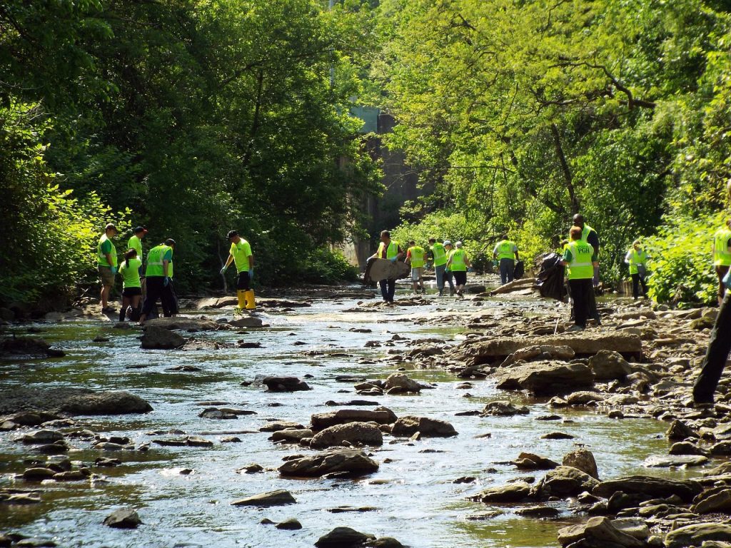 image of a stream and people participating in a cleanup