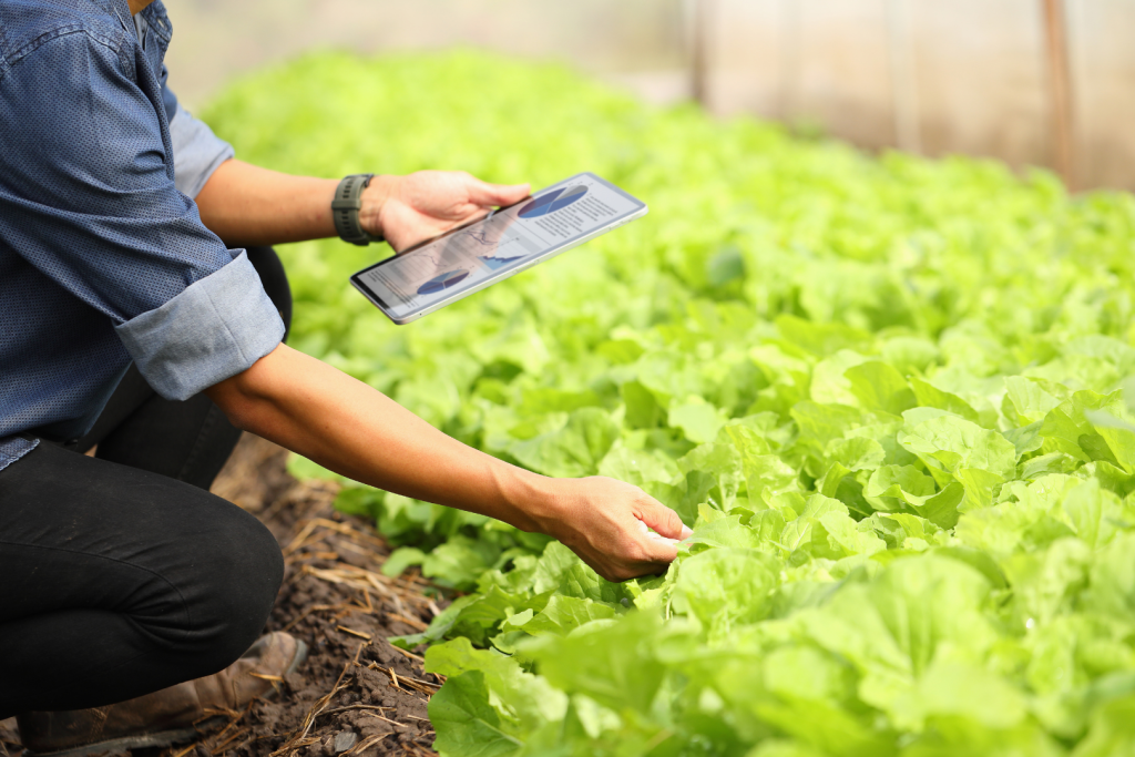 Photo of a person with a tablet looking at plants