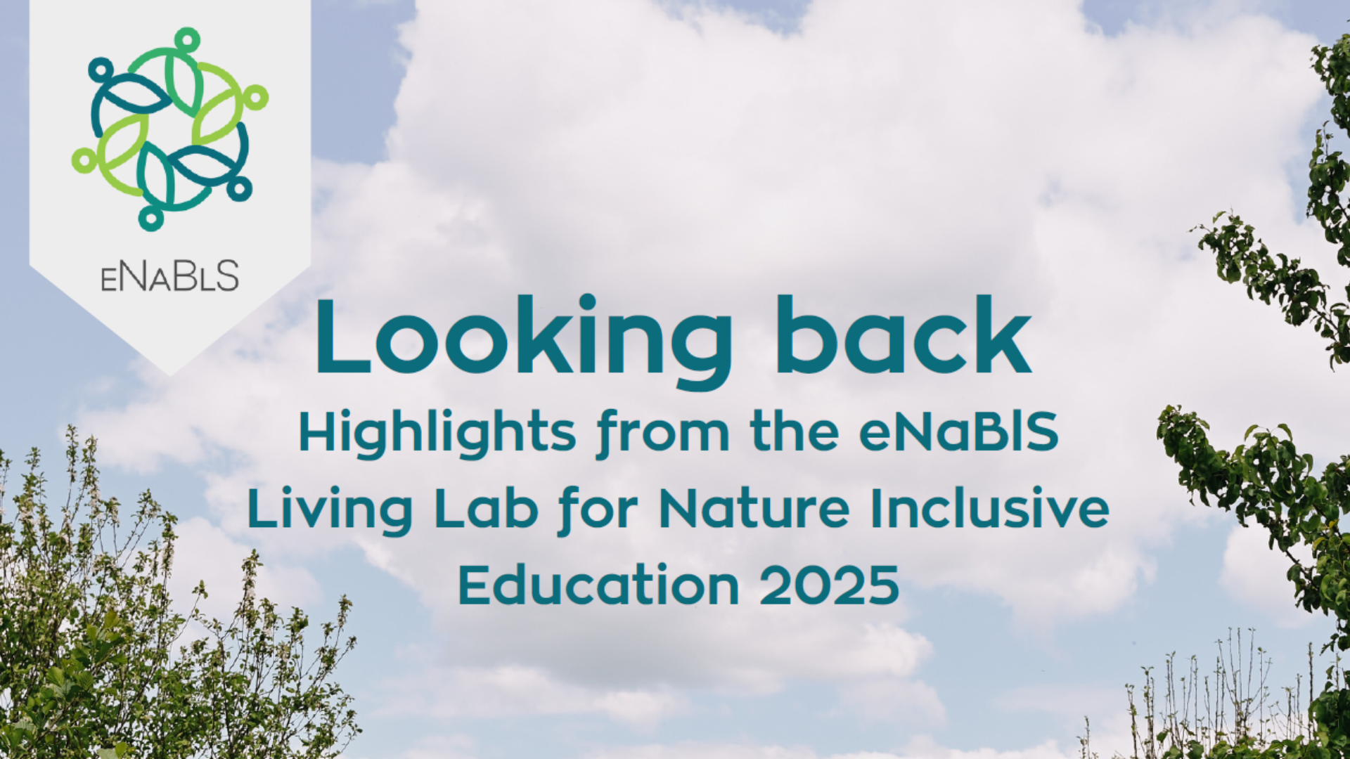 Banner for eNaBlS' Dutch LL 2025 Overview