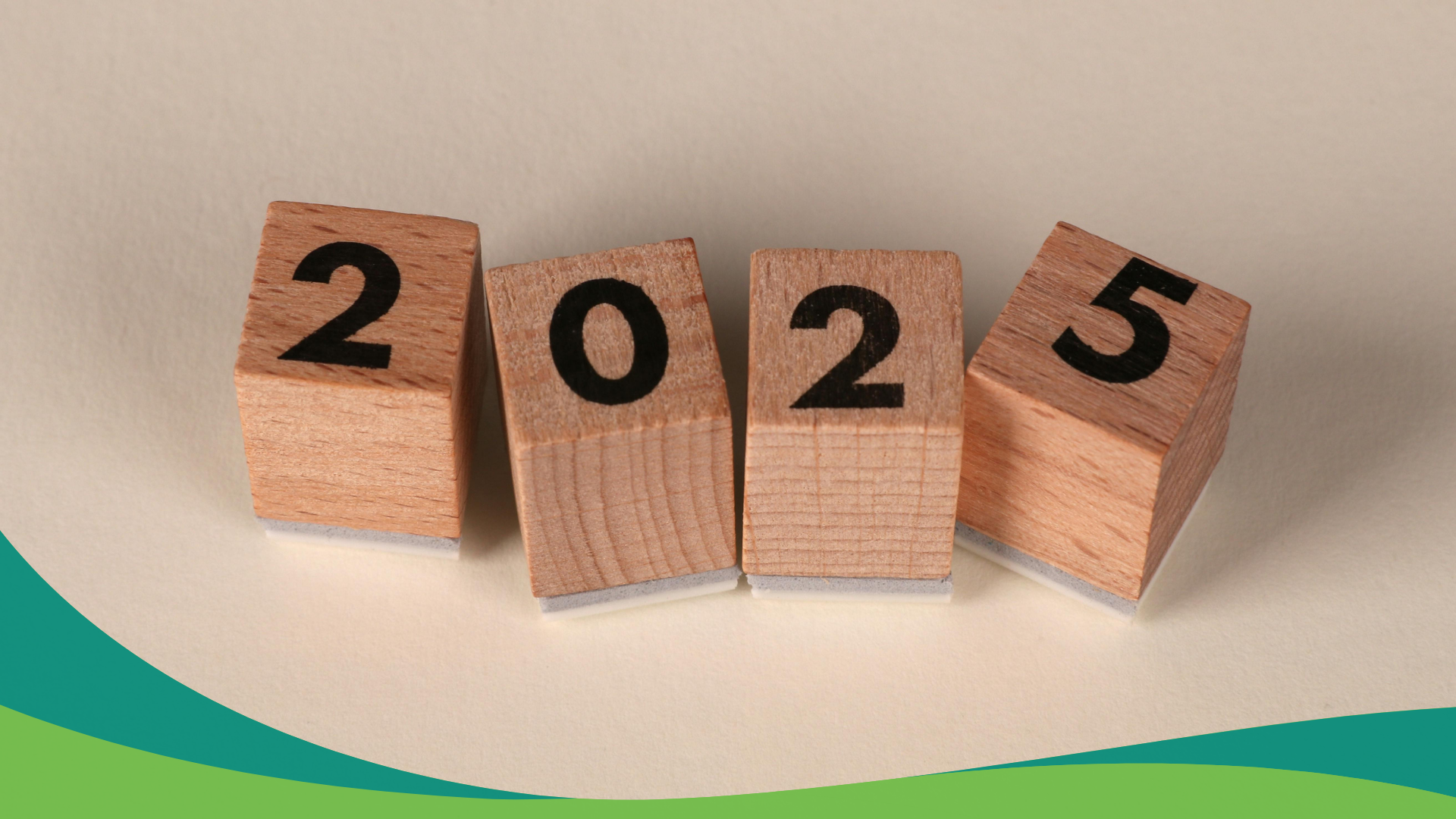 TF5 2025 Year Review image