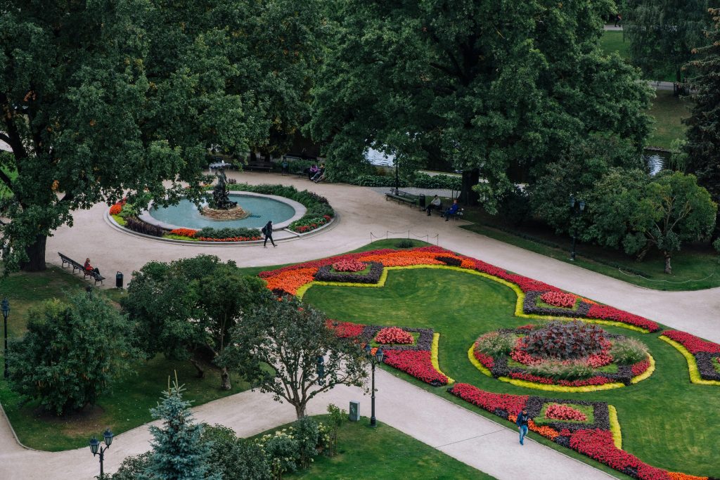 Photo of a park