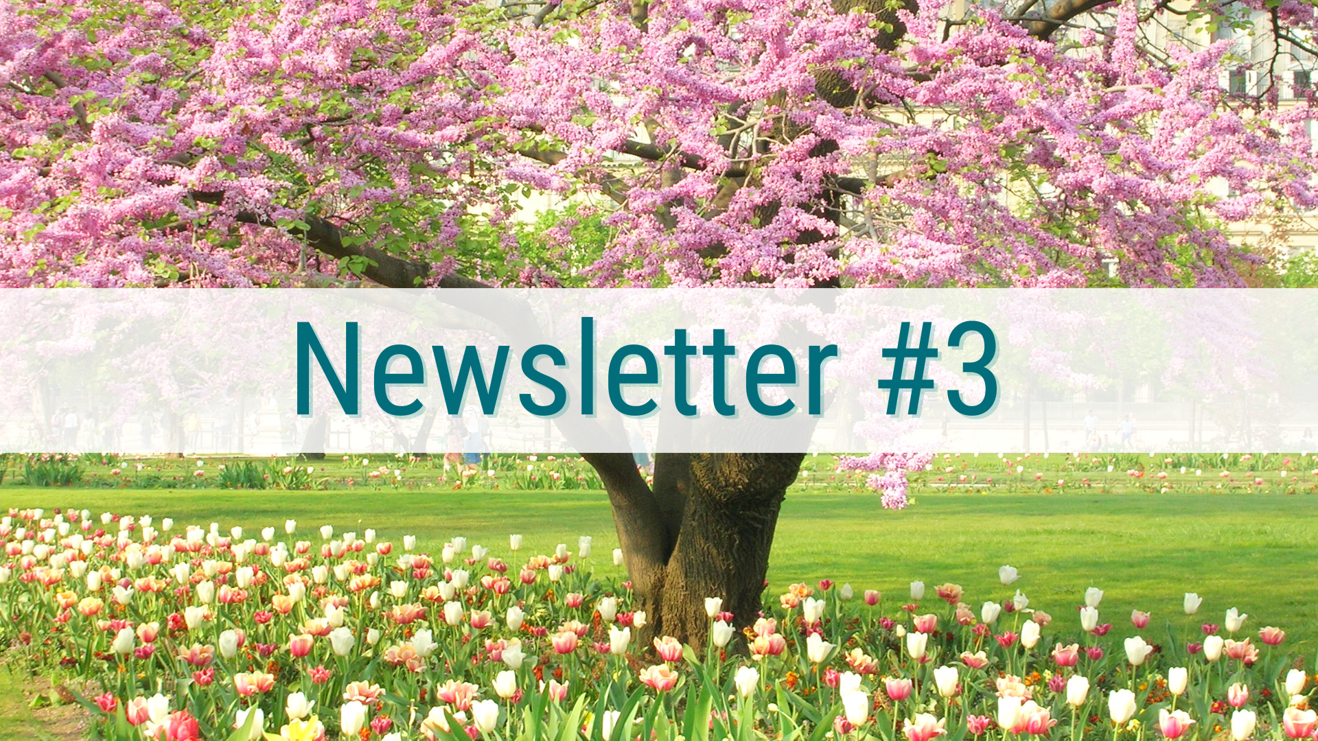 eNaBlS Newsletter #3