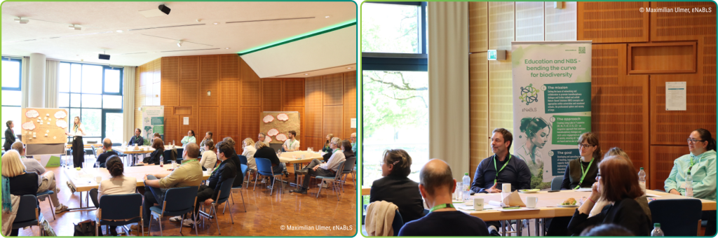 Photos from the German Policy Workshop