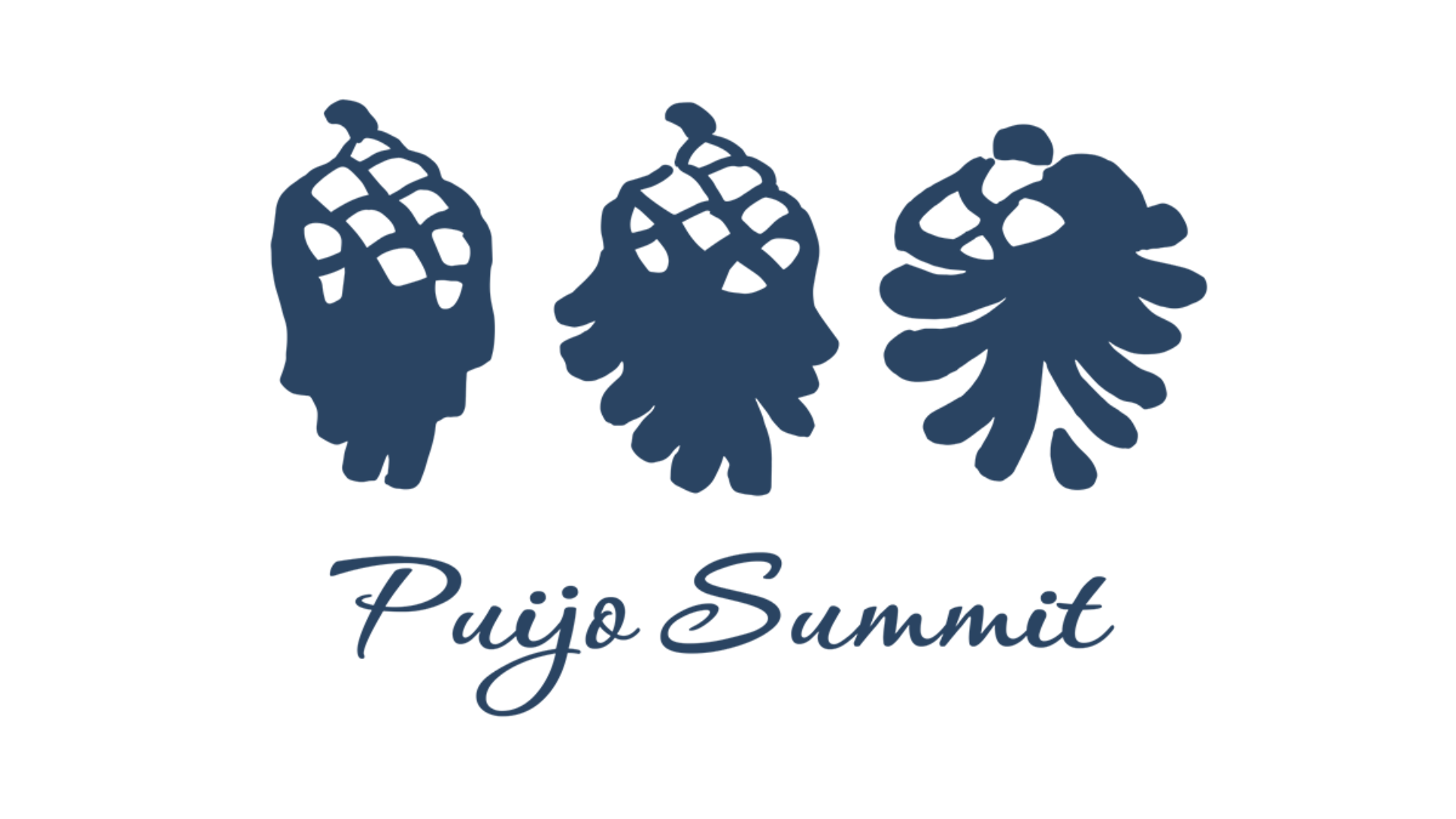 Puijo Summit logo
