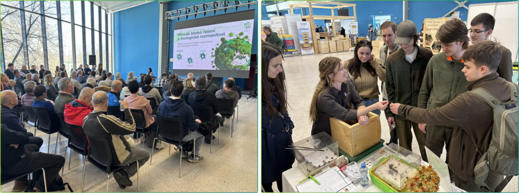 Photos taken during the Vcela Fair