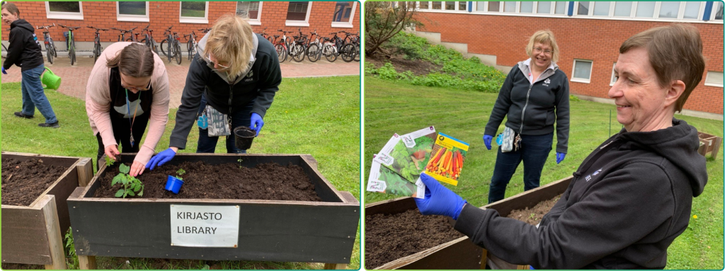 Photos from UEF's campus gardening