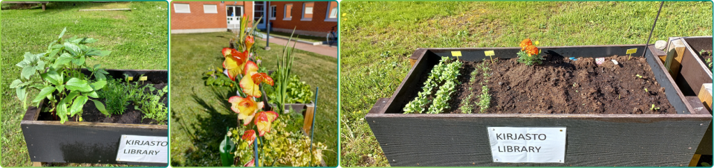 Photos from UEF's campus gardening plants