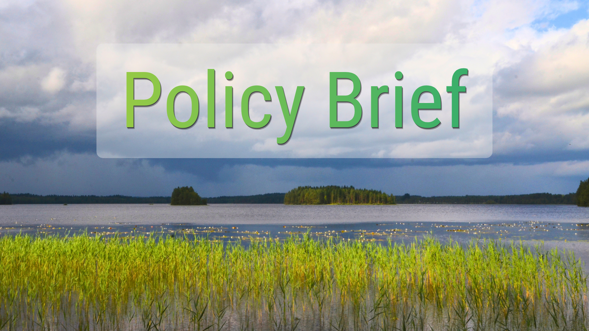 Policy Brief banner