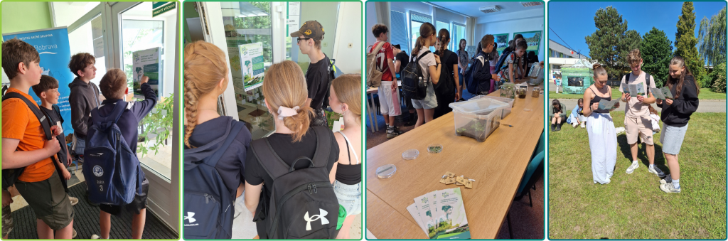 Photos from HUB-CR's participation in the Fascination of Plants Day event